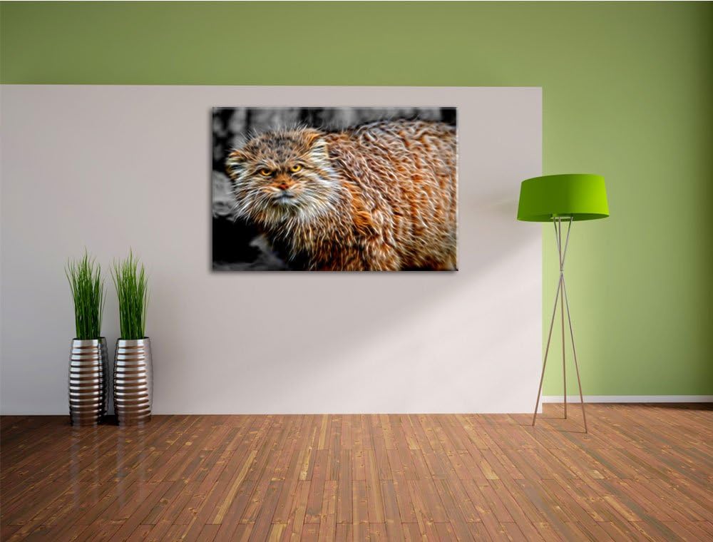 gereizte kleine Manul schwarz/weiss Deluxe Format: 100x70 cm auf Leinwand, XXL riesige Bilder fertig