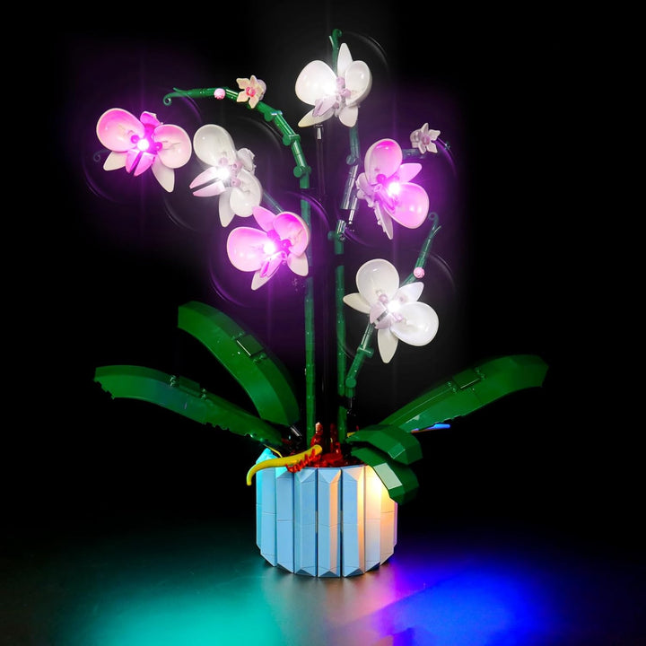 LocoLee Led Licht Set Kompatibel mit LEGO 10311 Orchidee Blumen Botanical Collection (Nur Lichter-Se