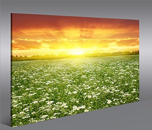 islandburner Bild Bilder auf Leinwand Blumenwiese 1p XXL Poster Leinwandbild Wandbild Art up Your Li