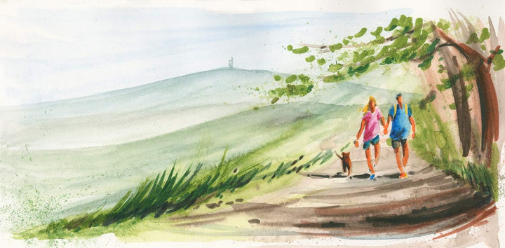 Faber-Castell 160318 Aquarellmarker Albrecht Dürer mit Doppelspitze für flächigen und präzisen Farba