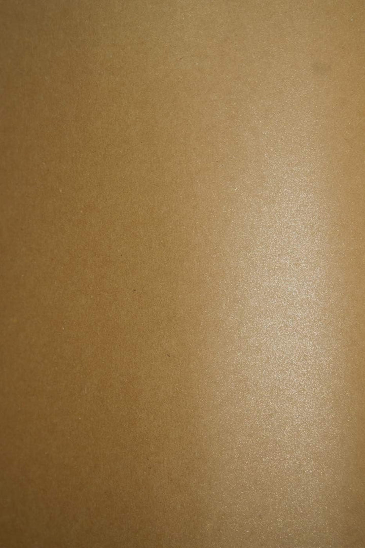 Netuno 100x Bastelkarton Kraft mit Glitzer DIN A4 210x 297 mm 300g Aster Metallic Rustic Coop Dust K
