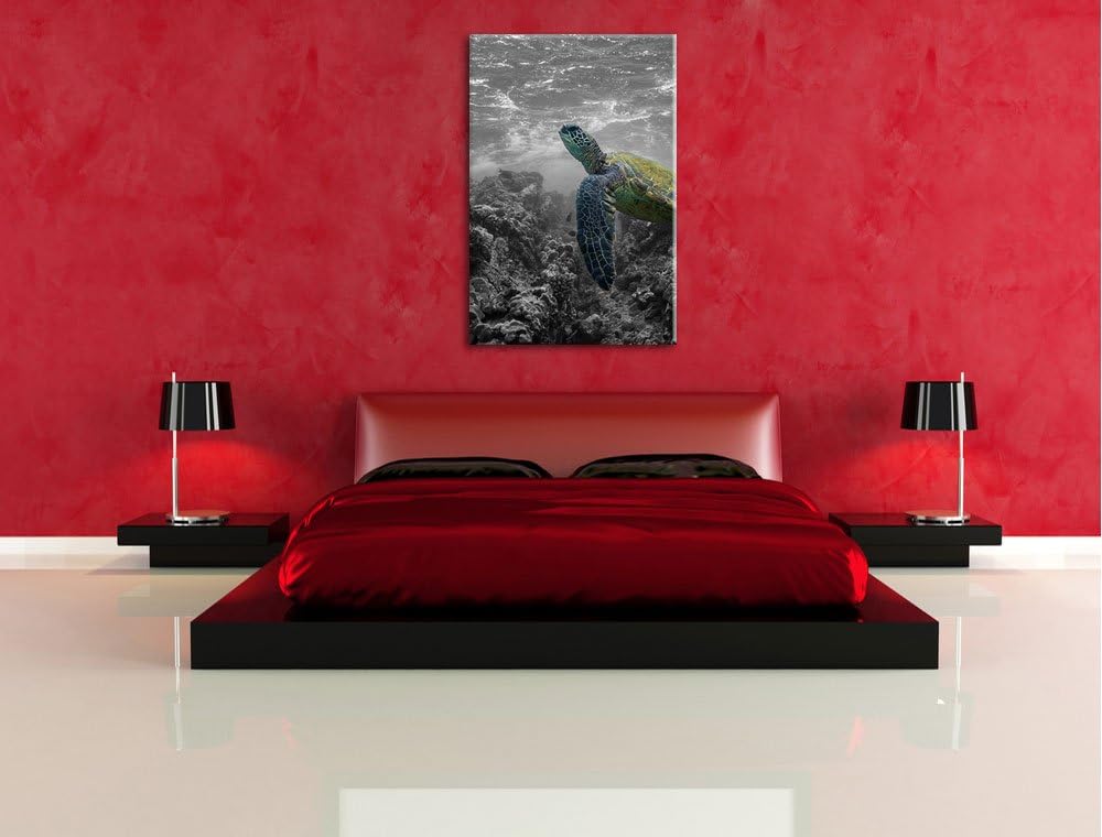 Schildkröte und Korallen im Ozean schwarz/weiss Format: 100x70 auf Leinwand, XXL riesige Bilder fert