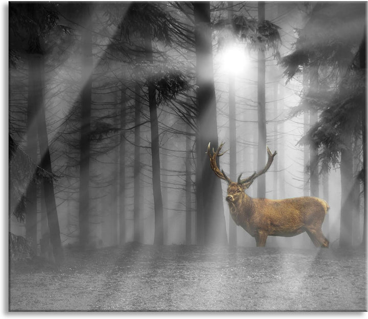 Hirsch auf Waldlichtung Sonnenstrahlen B&W Detail Herdabdeckplatte & Spritzschutz aus Echtglas | Für