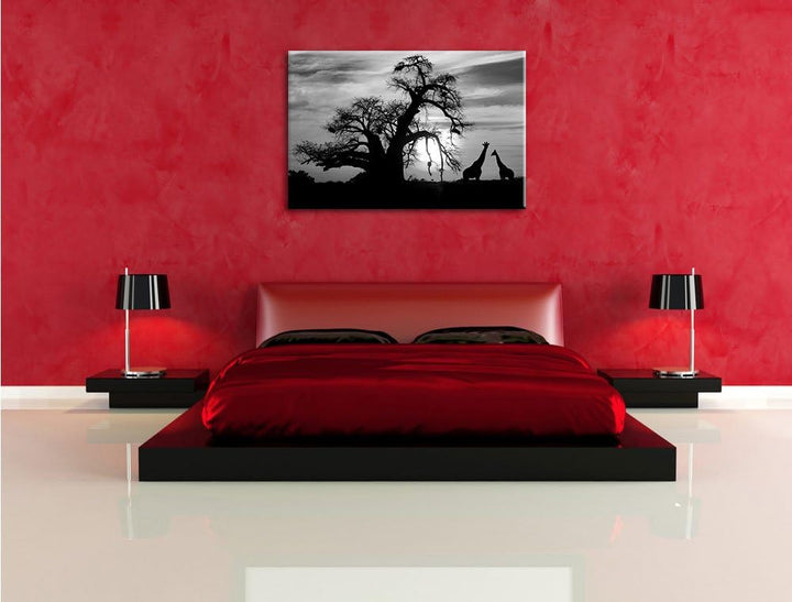 Pixxprint Zwei Giraffen in der Wüste als Leinwandbild/Grösse: 100x70 cm/Wandbild/Kunstdruck/fertig b