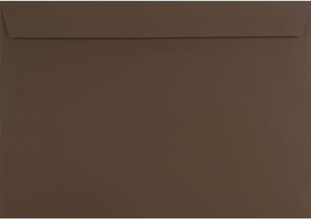 Netuno 200 Briefumschläge Braun DIN C4 229 x 324 mm gerade Klappe haftklebend Brief-Umschläge gross