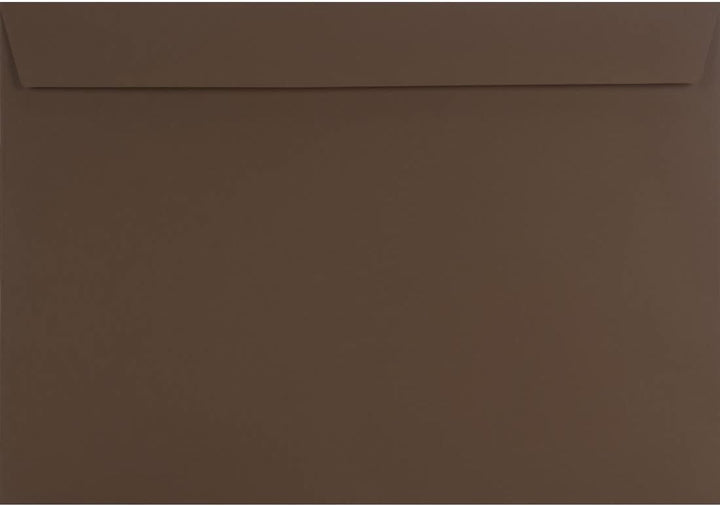 Netuno 200 Briefumschläge Braun DIN C4 229 x 324 mm gerade Klappe haftklebend Brief-Umschläge gross