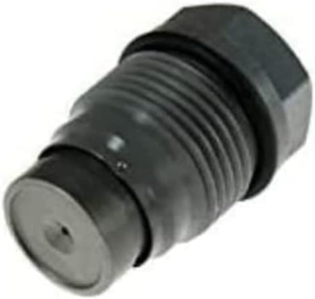 BOSCH 1110010028 1 110 10 28 Ventil, Abgasrückführung