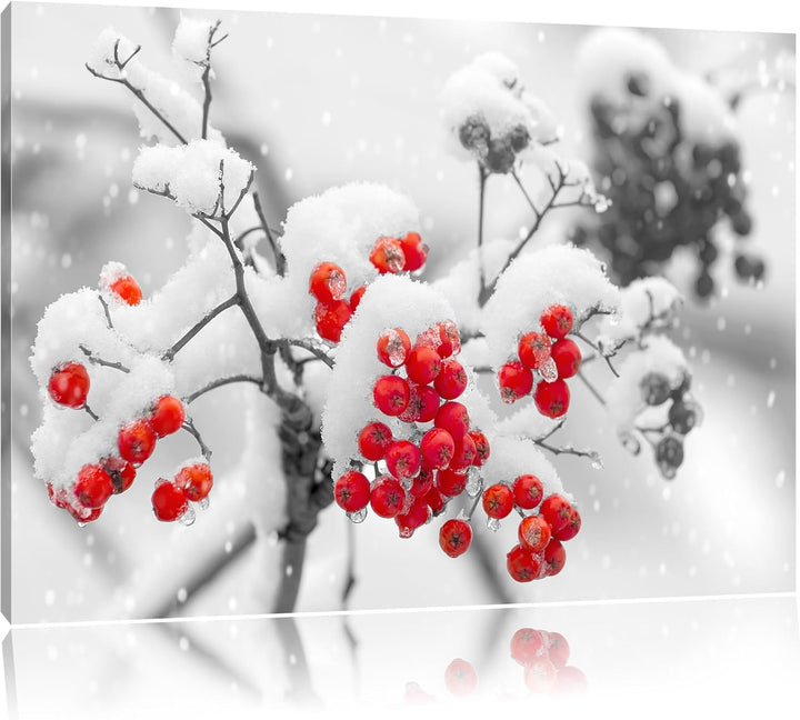 Rote Vogelbeeren im Winter schwarz/weiss Format: 100x70 auf Leinwand, XXL riesige Bilder fertig gera