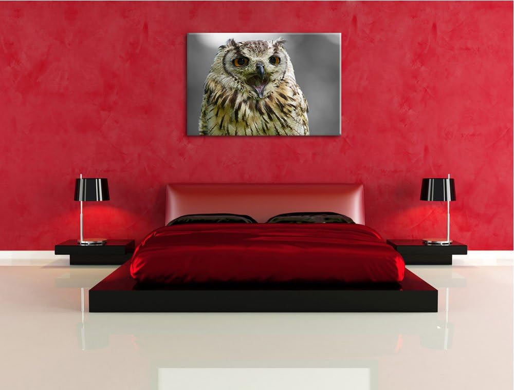 grosse schöne Waldeule gähnt schwarz/weiss Format: 100x70auf Leinwand, XXL riesige Bilder fertig ger