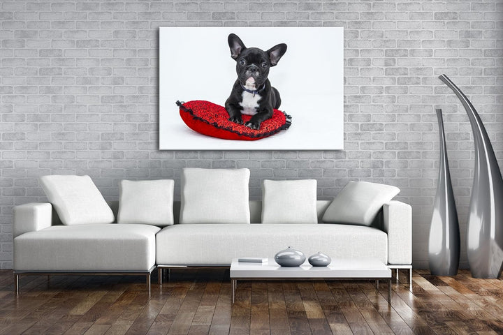 deyoli putzige Bulldogge mit einem Rotem Kissen Format: 100x70 als Leinwand, Motiv fertig gerahmt au