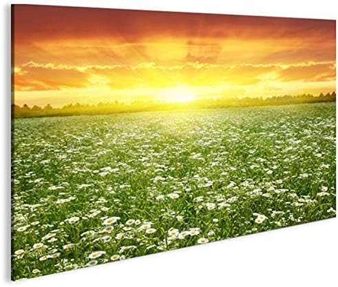islandburner Bild Bilder auf Leinwand Blumenwiese 1p XXL Poster Leinwandbild Wandbild Art up Your Li