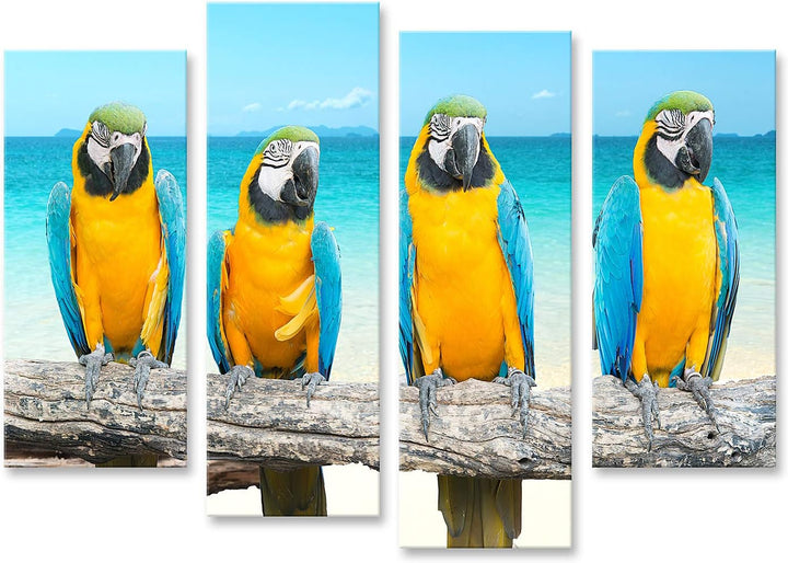 islandburner Bild auf Leinwand Blaue Und Goldene Aras Am Tropischen Strand Und Meer Bilder Wandbilde