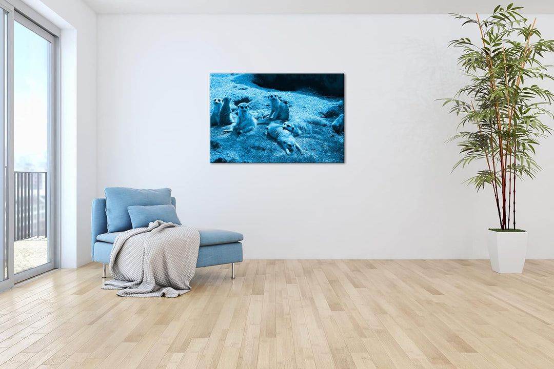 deyoli niedliche Erdmännchen Familie Format 80x60 Effekt: Monocrome Blau als Leinwandbild, Motiv fer