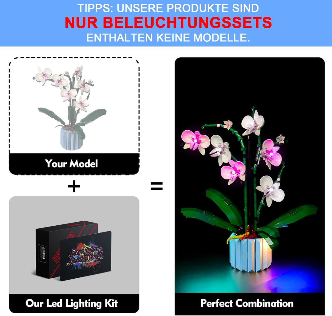 LocoLee Led Licht Set Kompatibel mit LEGO 10311 Orchidee Blumen Botanical Collection (Nur Lichter-Se