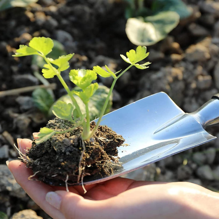 BIGP 3 Stücke Gartengerät Set, Gartenwerkzeug Set aus Aluminiumguss mit Handkelle, Pflanzkelle, Hark