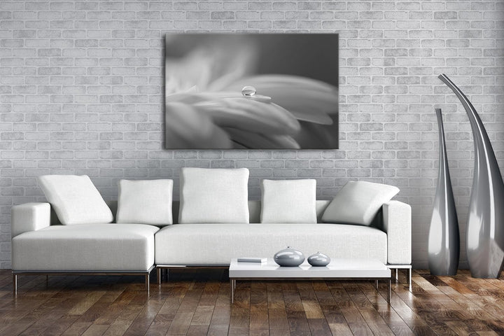 deyoli Wassertropfen auf Blauer Blume Effekt: Schwarz/Weiss im Format: 60x40 als Leinwandbild, Motiv