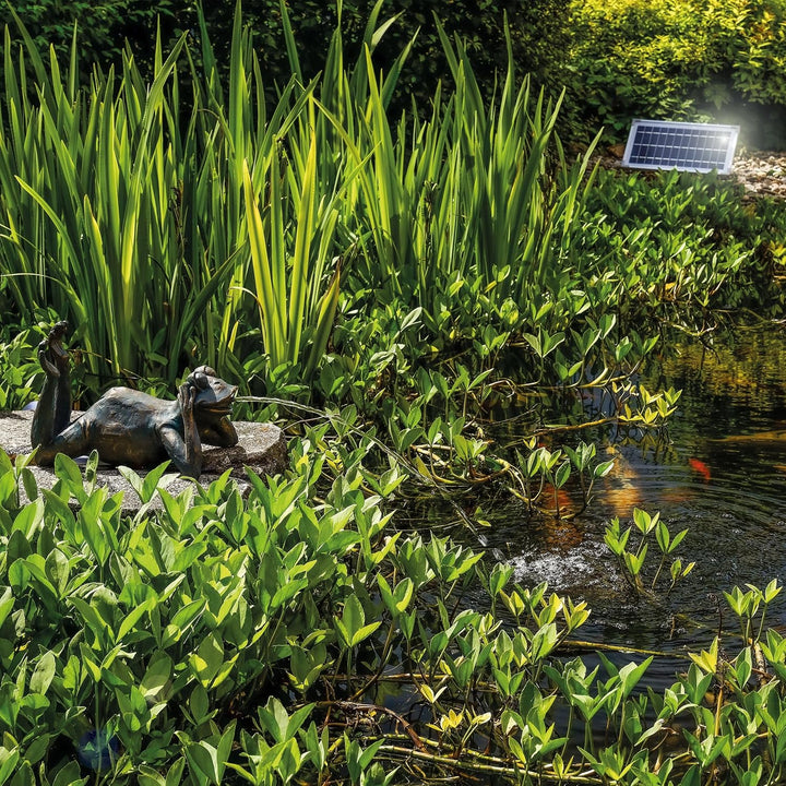 Solarbetriebener Wasserspeier Frosch - inkl. Solar Teichpumpe 8 Watt 380 l/h - Masse ca. 355 x 205 x