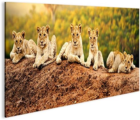 islandburner Bild Bilder auf Leinwand Löwen Kinder Babies Raubkatze 1p XXL Poster Leinwandbild Wandb