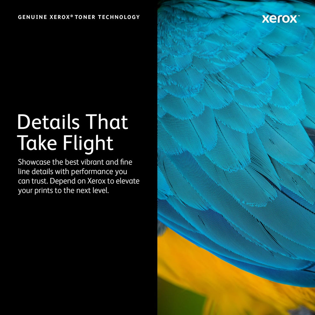 Xerox 108R00933 8570 ColorQube Standardkapazität 2 x 2.200 Seiten 2er-Pack, gelb