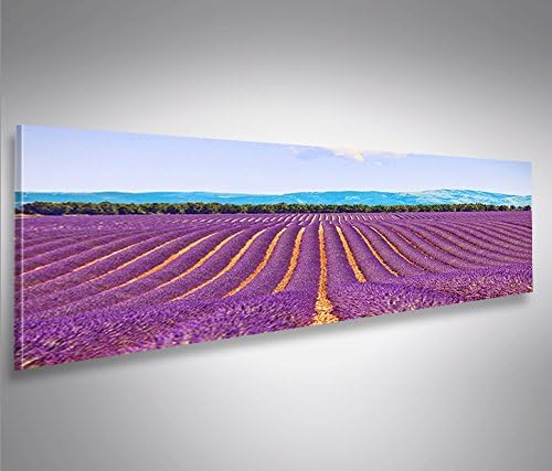 islandburner Bild Bilder auf Leinwand Lavendel Berge Panorama XXL Poster Leinwandbild Wandbild Dekoa
