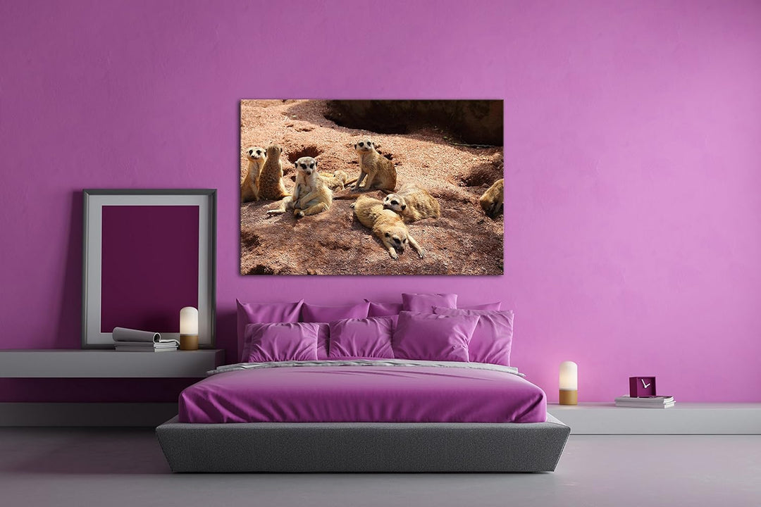 deyoli niedliche Erdmännchen Familie im Format: 80x60 als Leinwandbild, Motiv fertig gerahmt auf Ech