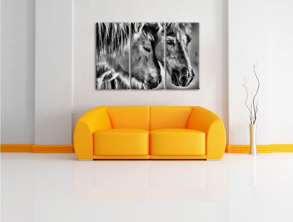 Pixxprint Zwei liebevolle Pferde als Leinwandbild/Grösse: 3 Teilig (120x80) cm/Wandbild/Kunstdruck/f
