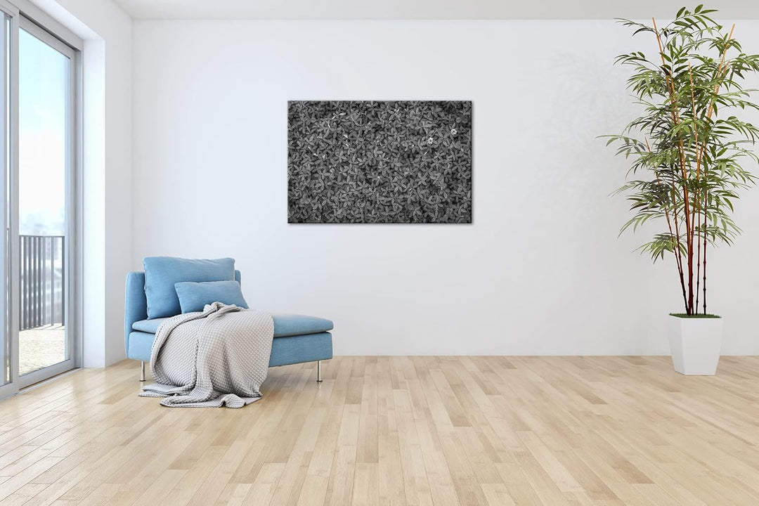 deyoli saftig grüne Kleewiese Effekt: Schwarz&Weiss Format: 80x60 als Leinwandbild, Motiv fertig ger