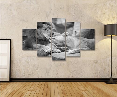 islandburner Bild Bilder auf Leinwand Löwen Paar SW Schwarz Weiss MF XXL Poster Leinwandbild Wandbil