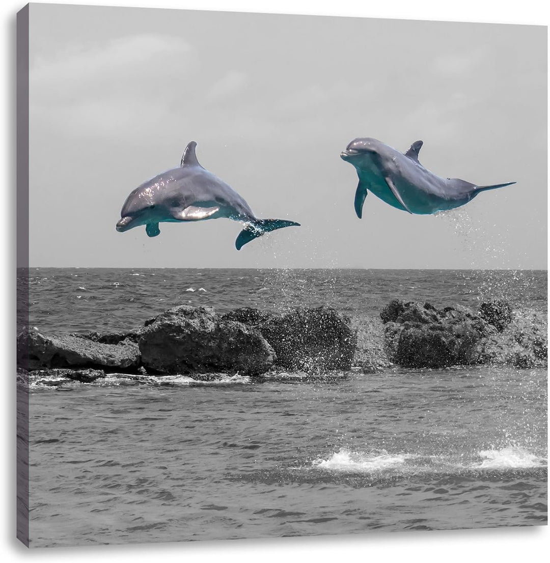 Pixxprint Zwei hoch springende Delphine schwarz/weiss, Format: 70x70 als Leinwandbild, 70x70