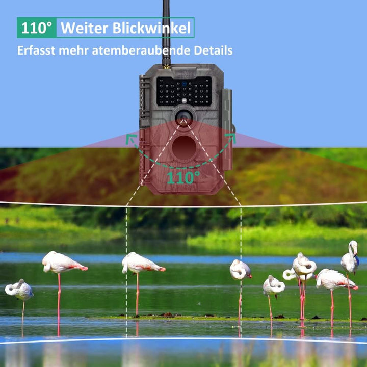 GardePro E6 Wildkamera WLAN Antenne 24MP 1296P mit Bewegungsmelder Nachtsicht No Glow Infrarot 940nm