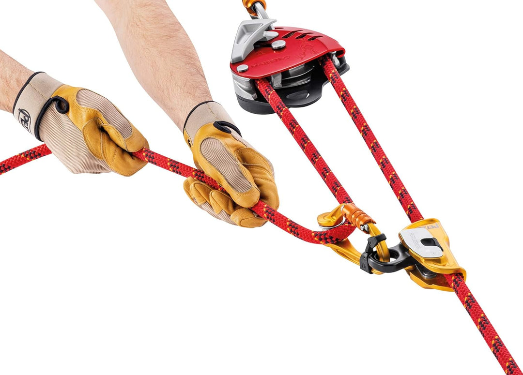 Descender Maestro L