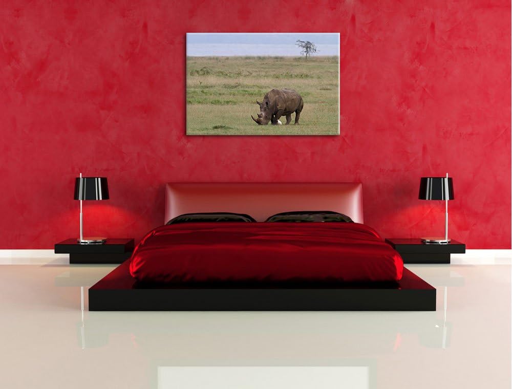 grosses Nashorn beim Fressen Leinwand, XXL riesige Bilder fertig gerahmt mit Keilrahmen, Kunstdruck