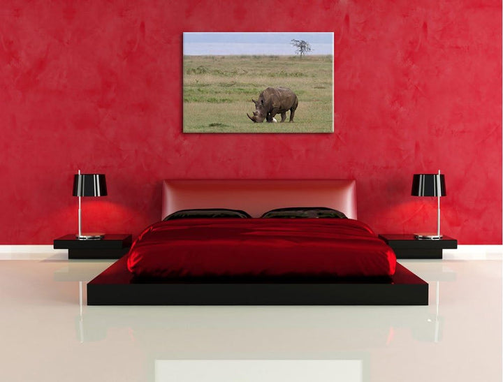 grosses Nashorn beim Fressen Leinwand, XXL riesige Bilder fertig gerahmt mit Keilrahmen, Kunstdruck