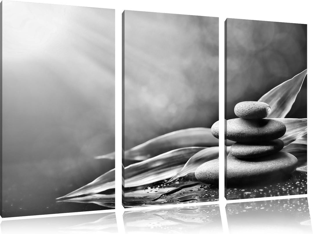 Pixxprint Zen Steine mit Blättern als Leinwandbild/Grösse: 3 Teilig (120x80) cm/Wandbild/Kunstdruck/