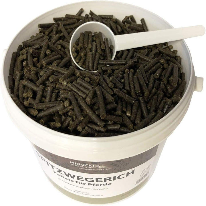 MIGOCKI SPITZWEGERICH – 1,5 kg – für Pferde – Reine Kräuter ohne Zusätze - Pellets