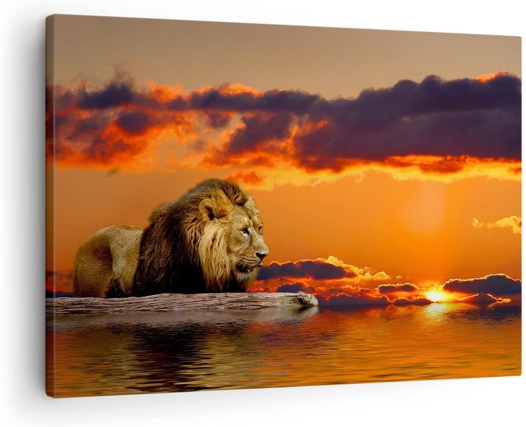 ARTTOR Bilder auf Leinwand Löwe Sonne Landschaft Leinwandbild 70x50cm Wandbilder Dekoration Wohnzimm