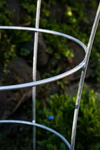 KUHEIGA Stabiler Staudenhalter Verzinkt H: 80cm, Volleisen Strauchhalter, Rankgerüst,