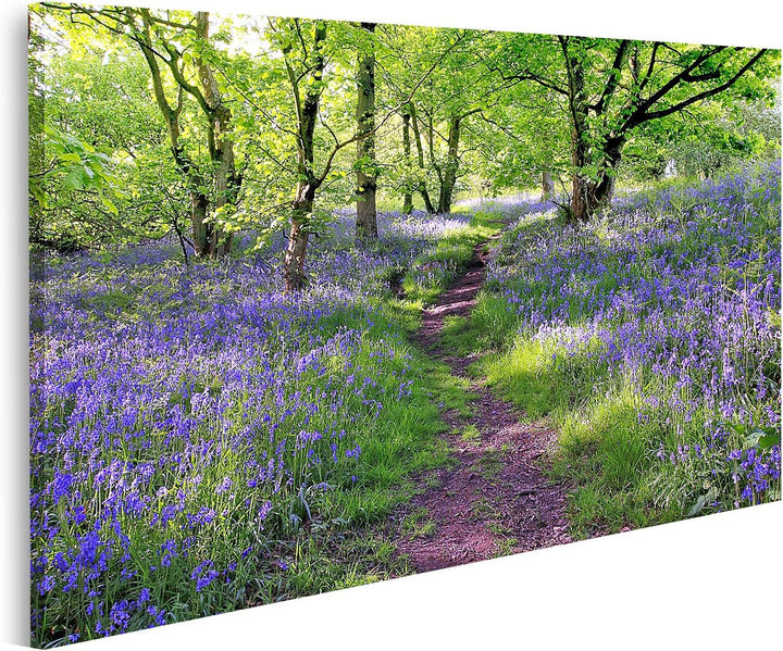 islandburner Bild auf Leinwand Blaue Glocken Wald In Schottland Bilder Wandbilder Poster Leinwand 10