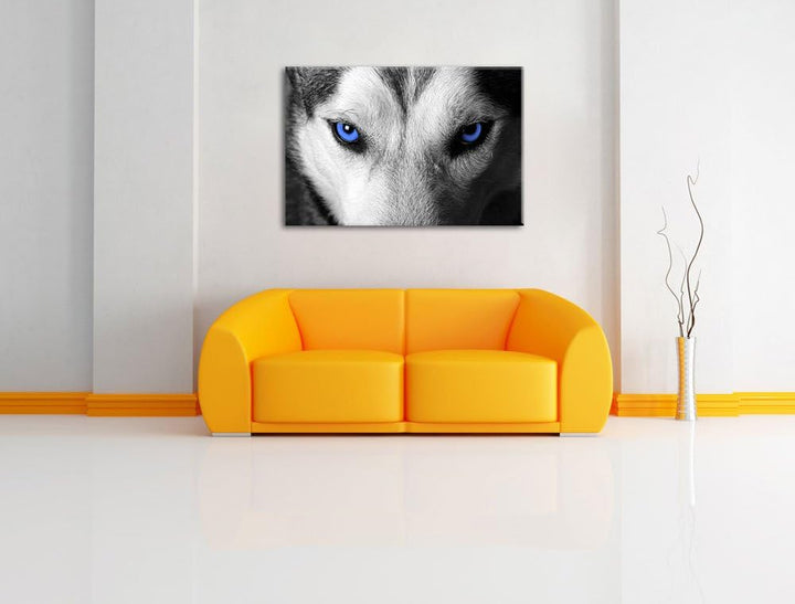 Gefährlicher Husky mit eisblauen Augen schwarz/weiss Format: 100x70 auf Leinwand, XXL riesige Bilder