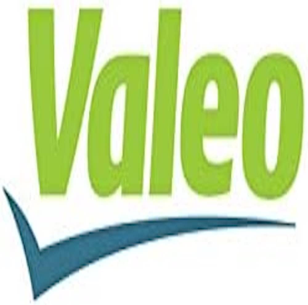 VALEO Lüfter Motorkühlung 696019