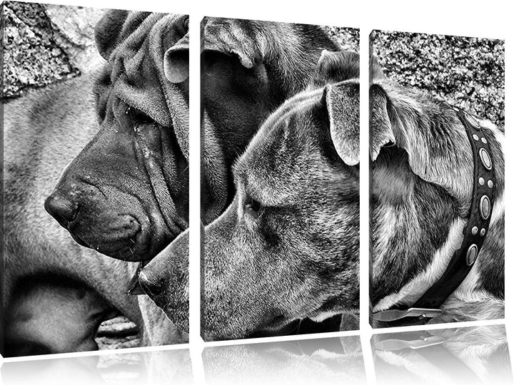 Pixxprint Zwei Hunde im Profil als Leinwandbild/Grösse: 3 Teilig (120x80) / Wandbild/Kunstdruck/fert