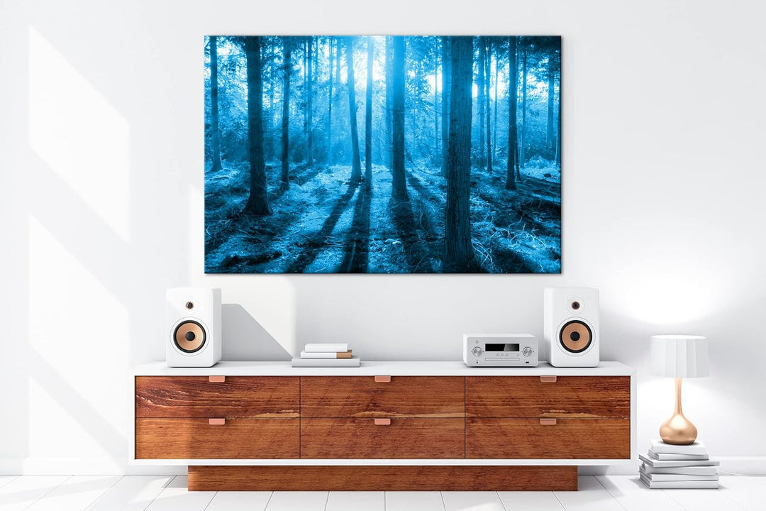 deyoli Moos bedeckter Wald Format: 80x60 Effekt: Monocrome Blau als Leinwand, Motiv fertig gerahmt a
