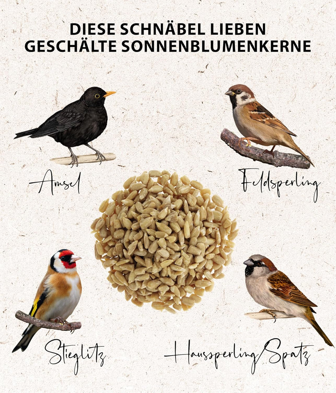 Dehner Natura Wildvogelfutter, geschälte Sonnenblumenkerne, 10 kg geschälte Sonnenblumenkerne 10 kg