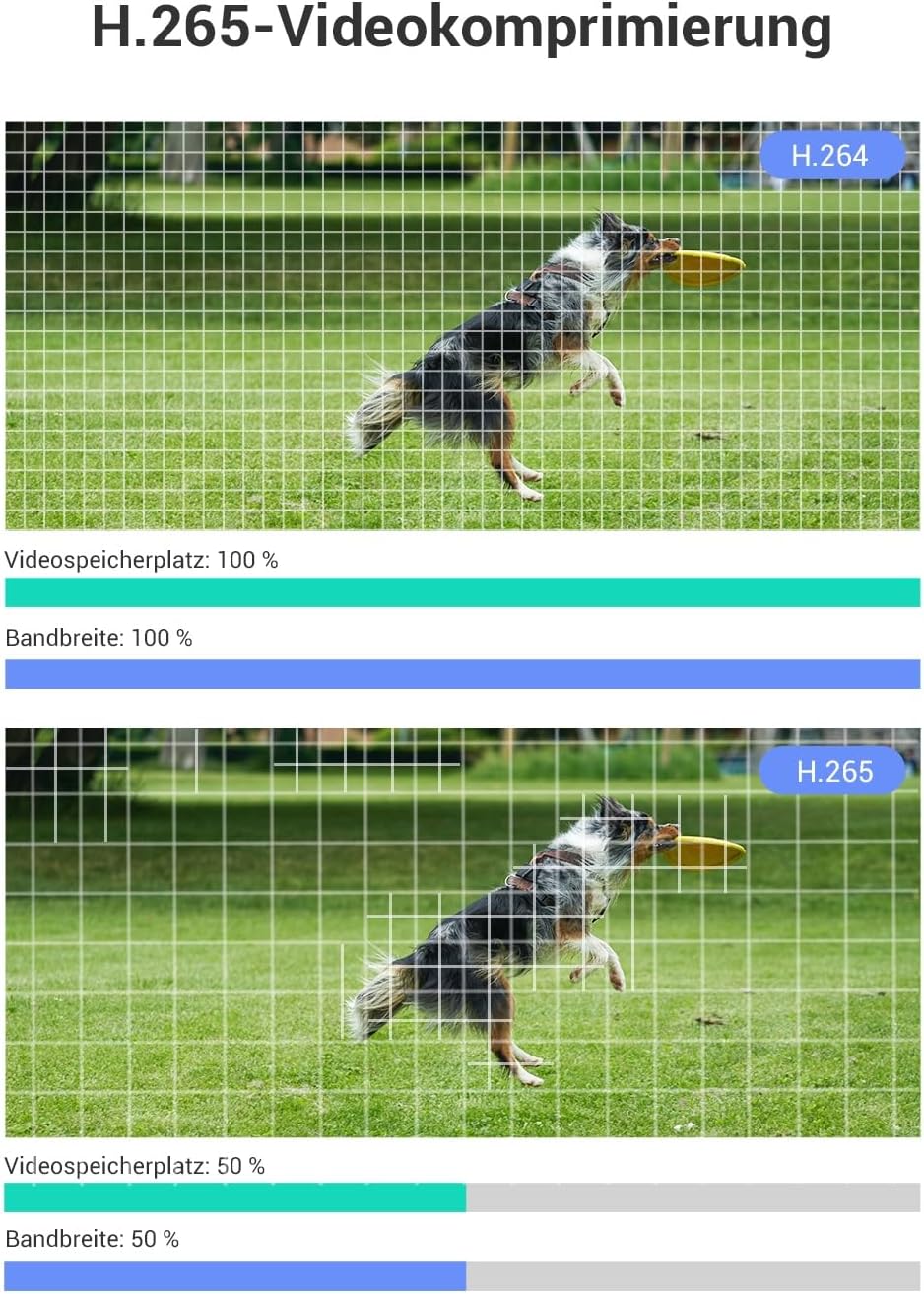 EZVIZ 1080P FHD WLAN Kamera, Überwachungskamera Aussen mit Farbnachtsicht, Bewegungserkennung, aktiv