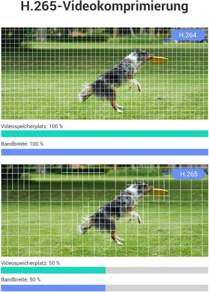 EZVIZ 1080P FHD WLAN Kamera, Überwachungskamera Aussen mit Farbnachtsicht, Bewegungserkennung, aktiv