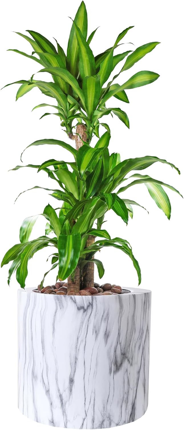 wuuhoo I Pflanzkübel Lily in weisser Marmoroptik mit Pflanzeinsatz I Wetterfest für Innen und Aussen