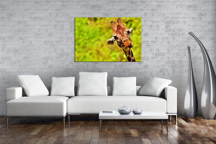 deyoli lustige Giraffe Format: 60x40 cm als Leinwandbild, Motiv fertig gerahmt auf Echtholzrahmen, H