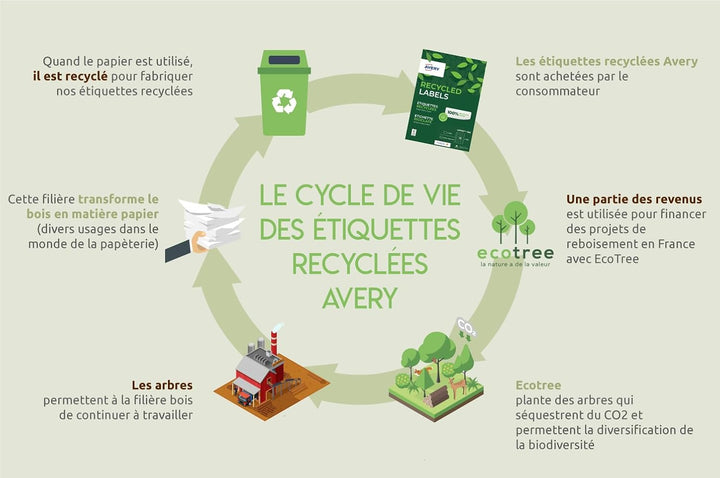 AVERY Zweckform LR7165-100 Versand-Etiketten (A4, 800 Stück, Recycling, 99,1 x 67,7 mm, 100 Blatt) w