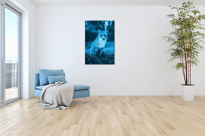 deyoli süsser Fuchs im Wald Format: 80x60 Effekt: Monocrome Blau als Leinwand, Motiv fertig gerahmt