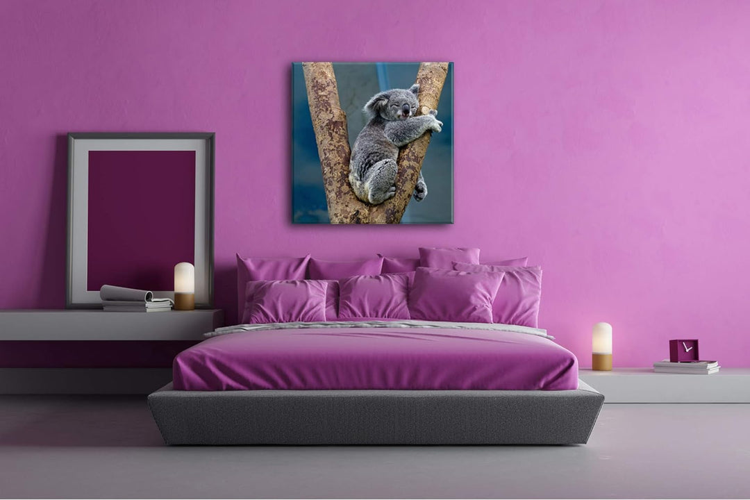 deyoli niedlich schlafender Koalabär Format: 70x70 als Leinwand, Motiv fertig gerahmt auf Echtholzra